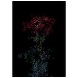 Fractal Rose in a Bottle Matte Paper Poster