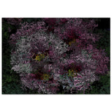 Fractal Primroses Matte Paper Poster